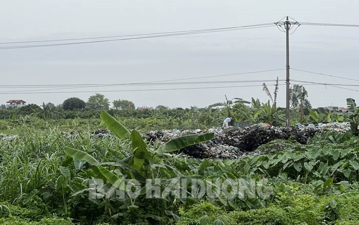 Xã Quang Minh khắc phục xong tình trạng ô nhiễm tại bãi rác thôn Đông Hào